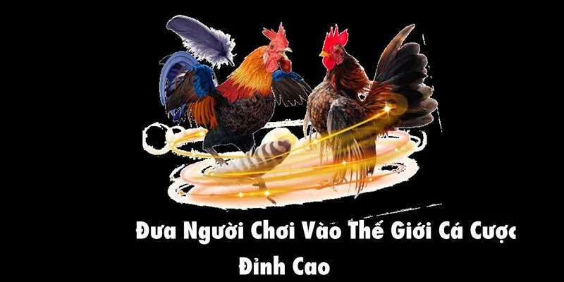da ga hcm66